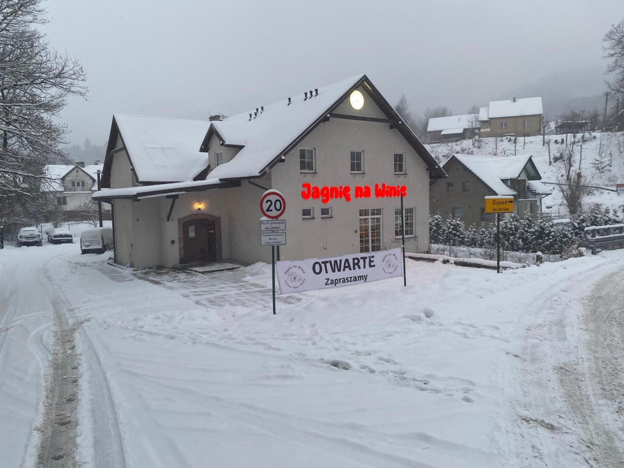 Bed and Breakfast Jagnienawinie Мєндзибродзє-Живєцьке Екстер'єр фото